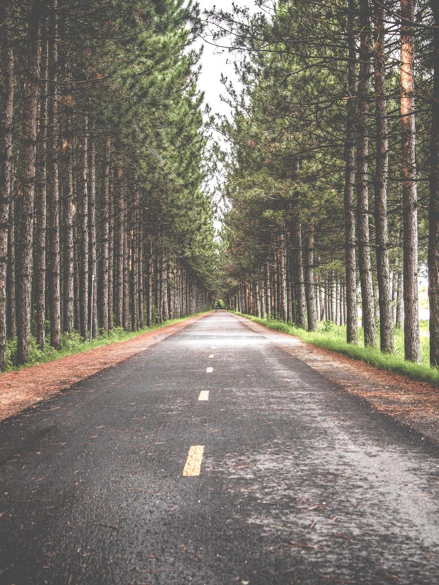 409a0202 f38a 356a 93fd bfade86f58aa