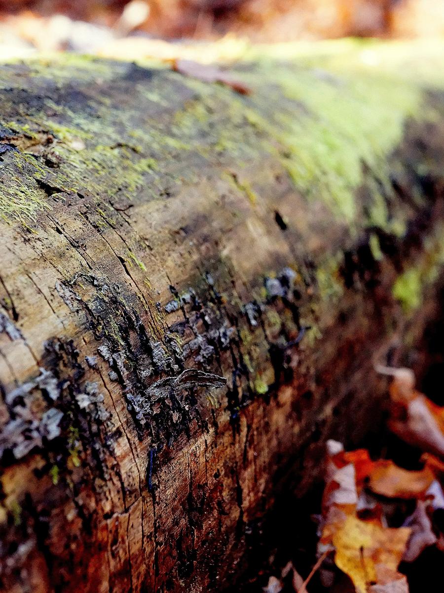 9db90646 c61d 3521 bdd6 d3ae74aa1844