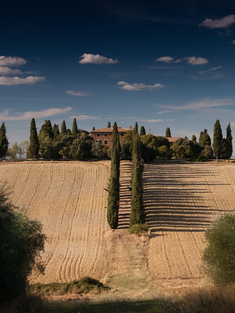 aeaaa7a9 8f1e 3042 84c6 d0a45e983750